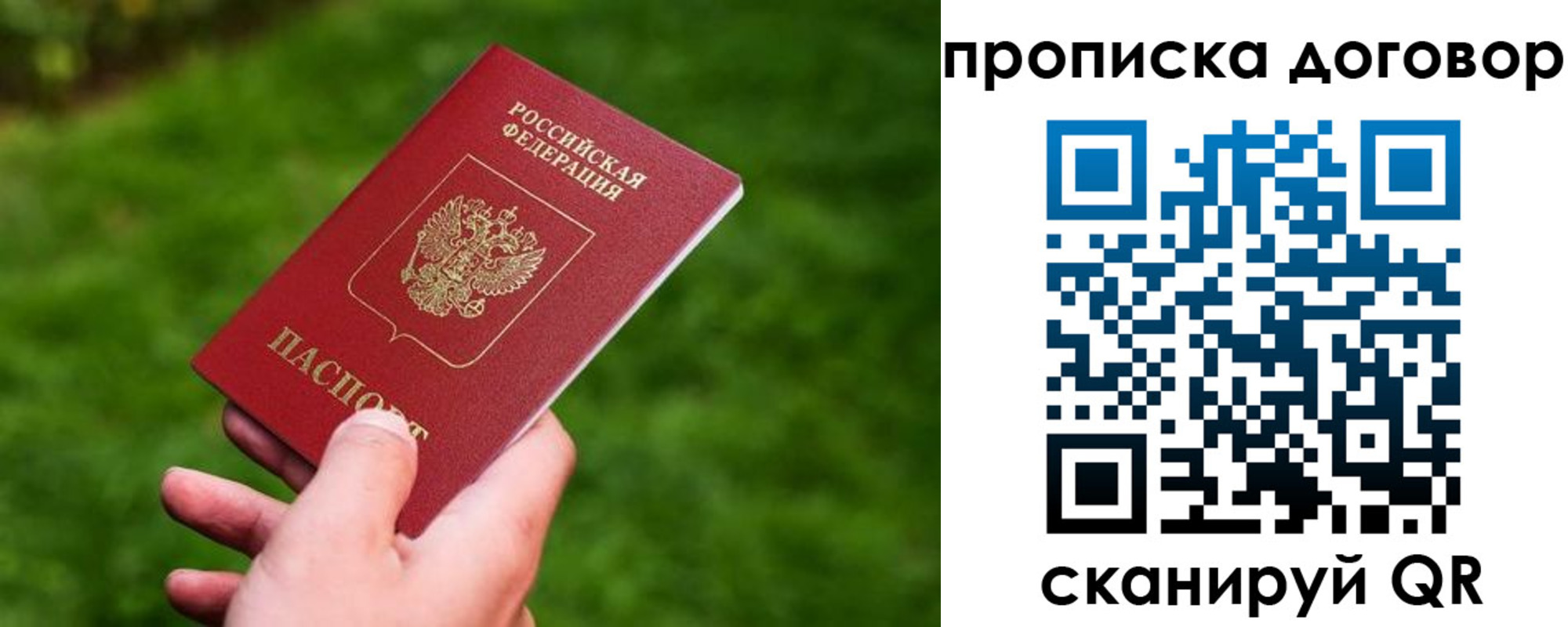 прописка гарантия в Красном Сулине